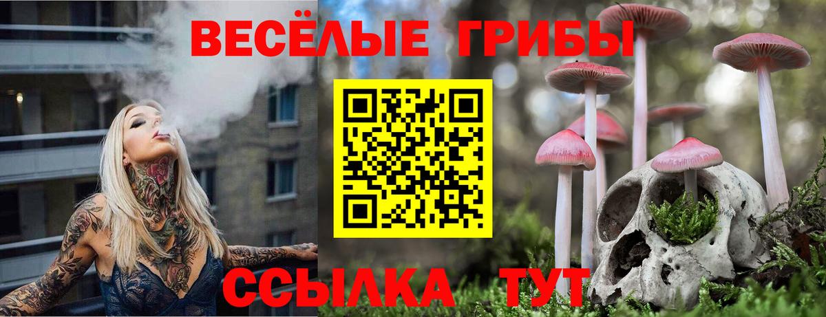 Галлюциногенные грибы Psilocybine cubensis  Вход с VPN  что такое наркотик  Чусовой 