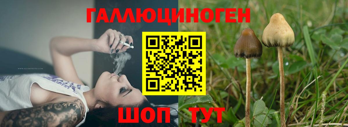Псилоцибиновые грибы прущие грибы Чусовой